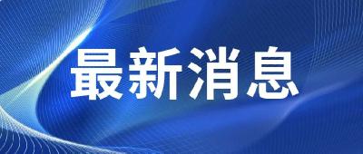 长江水位较近五年偏低5.6米 荆州航道部门全力保畅通