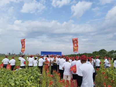 南京农业大学在荆州开展大豆新品种推广