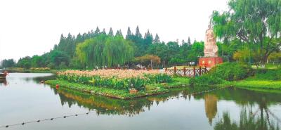 河湖重现水清岸绿——荆州城区水环境综合治理踏访