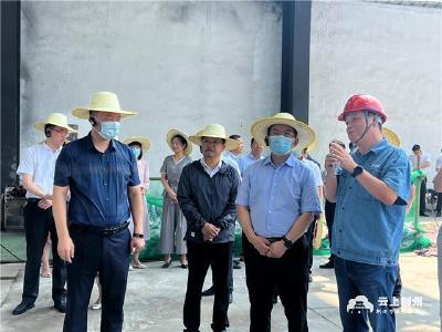 省政协调研组来荆调研综合交通枢纽建设工作