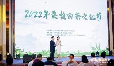 品桑植白茶 赏“风花雪月” 2022年桑植白茶文化节在张家界市举行