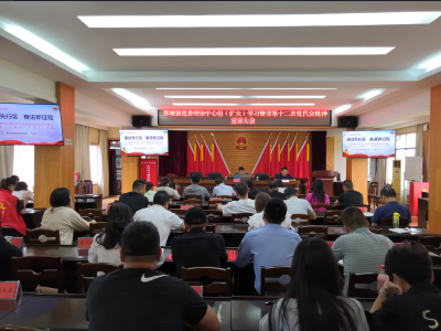 省第十二次党代会精神荆州区委宣讲团走进郢城镇
