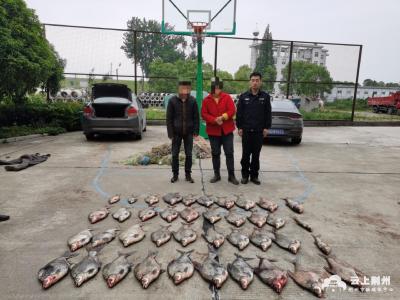 68.95公斤！长航荆州公安公安派出所移送起诉一起长江非法捕捞水产品案
