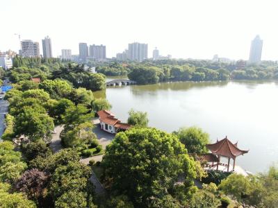 全国科普日丨“喜迎二十大 科普向未来”网络答题（9月8日）