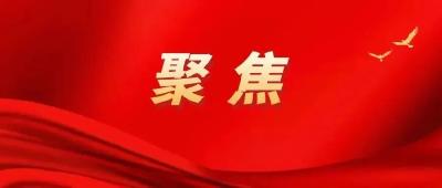 从1到9，学习党的二十大报告