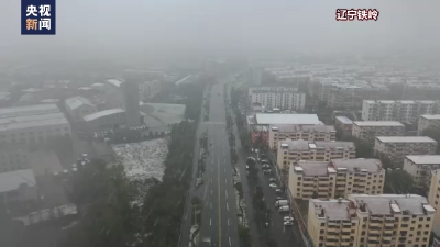 多地迎来今秋第一场雪