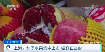冲上热搜！这种水果火了
