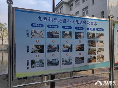 荆州市城管委完成全年违建拆除35万平方米