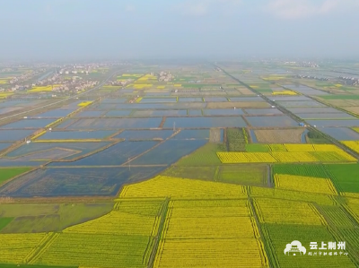 荆州：坚持农业农村优先发展 建设江汉平原乡村振兴示范区