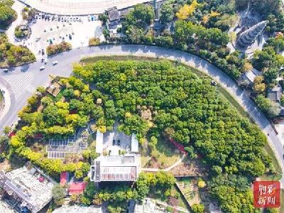 荆州：河道口袋公园”拆墙透绿“展示“江水连城”新画卷