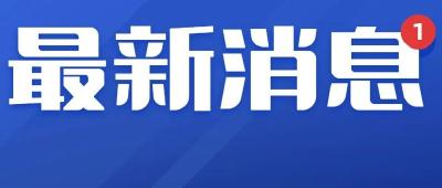 张文宏：此轮疫情要做好2到4个月准备！