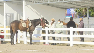 江陵县资市镇：还原楚王游猎场，让游客体验“马背上的快乐”