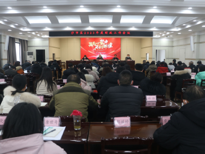 沙市区召开2023年度财政工作会议