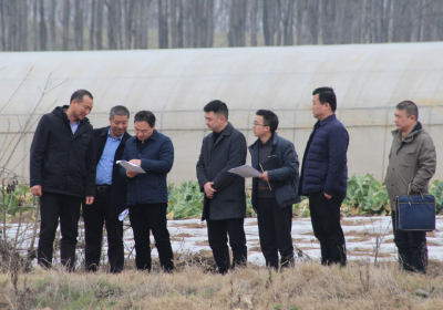 李平带队调研督办2022年高新区耕地流出问题整改工作