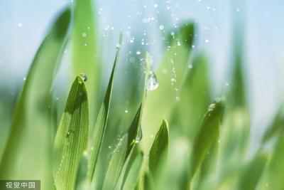 今天迎来“雨水”节气