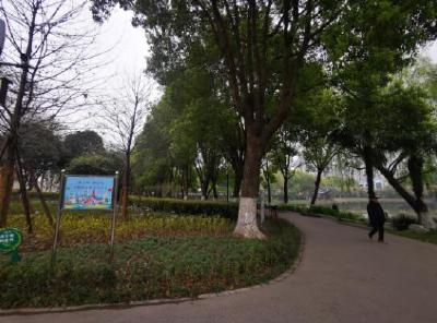 荆州将试点部分城市公园绿地开放共享