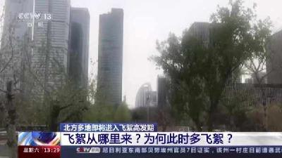 进入飞絮高发期！抵挡飞絮“攻击”可这样做