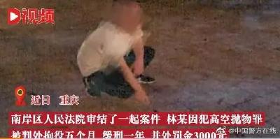 男子7楼抛狗砸伤路人，法院判了