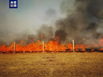 蒙古国草原火灾蔓延，中蒙边境线明火已扑灭