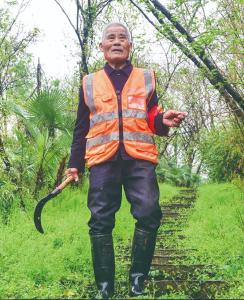 湖北黄石：八旬村民李相育守岛护鸟——25年开荒植绿，迎来满目苍翠