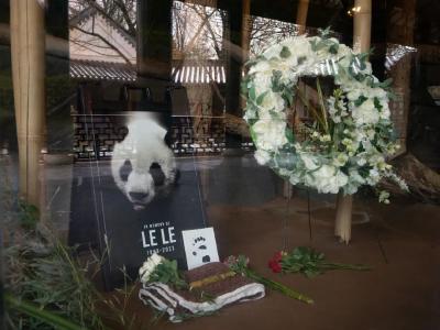 “乐乐”死因公布