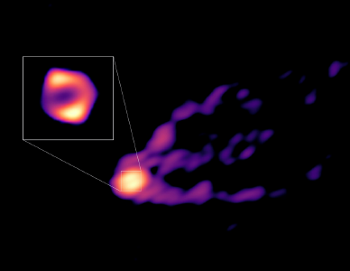科学家拍到了→