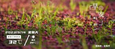 早安·荆州丨最新部署！中办印发重要规划/官方最新公告！允许进口