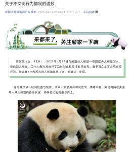 一年禁止入园！熊猫基地通报多起游客不文明参观行为