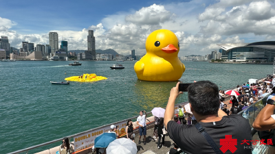 十年后重返香港的大黄鸭“热爆了”？主办方：放气避免风险