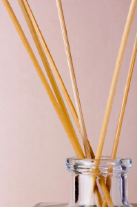 又被“叮”上？这些驱蚊方法别错过 