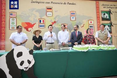 墨西哥城动物园为大熊猫“欣欣”举办33岁生日庆祝活动