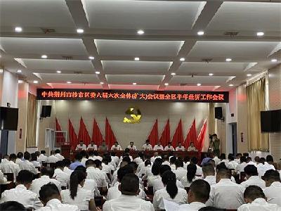 沙市区上半年经济运行整体向好，完成地区生产总值320亿元 