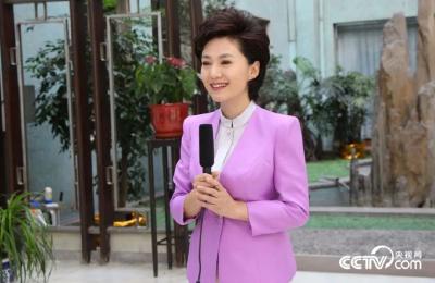 公示发布！知名主持人有新身份