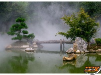 打卡浅山森林美术园丨定格“醉”美瞬间 一步一景“皆成画”