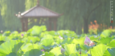 《小暑》