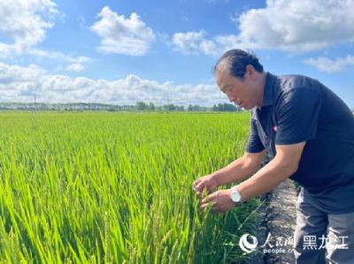 跟着总书记看中国｜仓廪实、科技兴 北大荒农业现代化大步向前