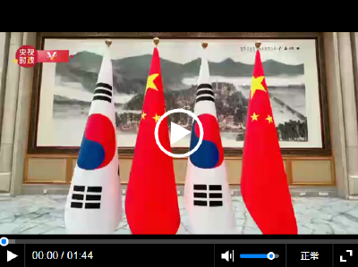 独家视频丨习近平会见韩国总理韩德洙