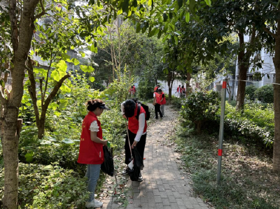 荆州区荆东社区：清洁家园 绿享生活