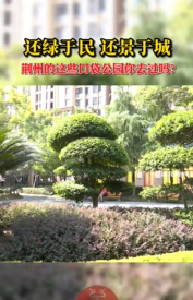 还绿于民 还景于城丨荆州的这些口袋公园，你去过吗？