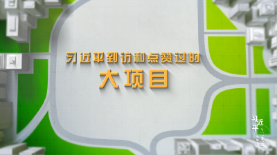 习近平与“一带一路”的故事丨从“大写意”到“工笔画”