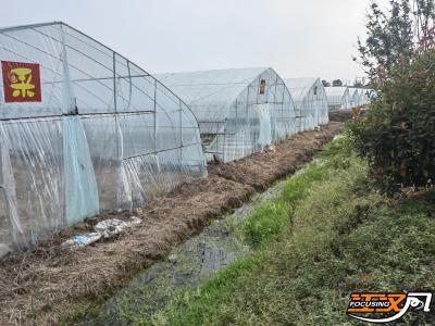 纪南镇鲁垱村：助力乡村振兴 探索农村污水和粪污一体化处理