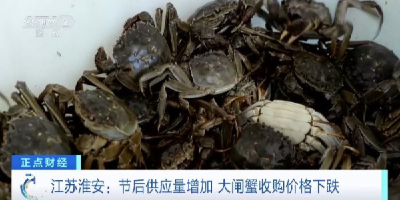 “错峰”吃蟹正当时！节后螃蟹身价落，规格越大降越多