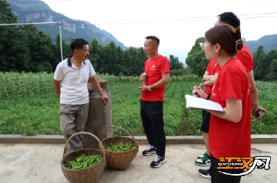 荆州理工职业学院“三下乡”志愿服务队体验“云养猪”新模式