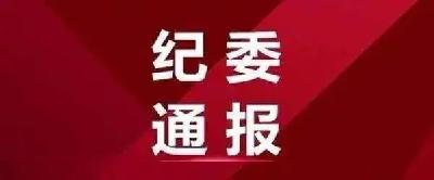 荆州市产业投资发展集团有限公司原党委副书记程兵被开除党籍公职