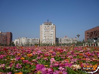 组图丨长大花海，邀你共赏！