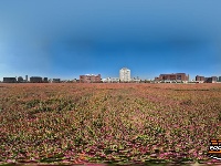 组图丨长大花海，邀你共赏！