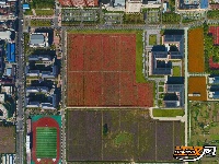 组图丨长大花海，邀你共赏！