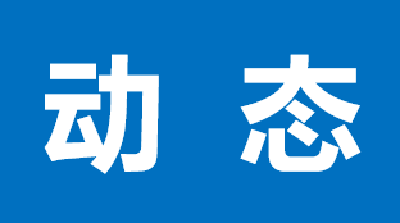 下架“美颜灯”，食材“素颜”出镜现品质