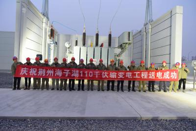 荆州海子湖110千伏变电站建成投运