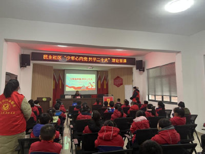 荆州区民主社区开展“少年心向党 共学二十大”宣讲活动